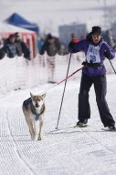 Lenk 2013